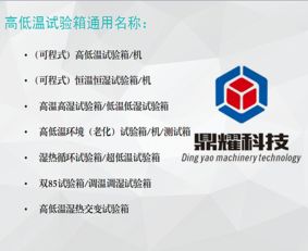 企业网络技术服务 驱动数字化转型与业务增长的核心引擎