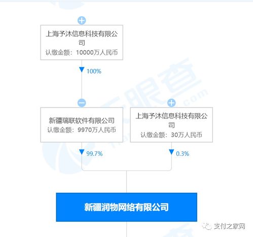 支付牌照再易主，网络技术服务成新赛道